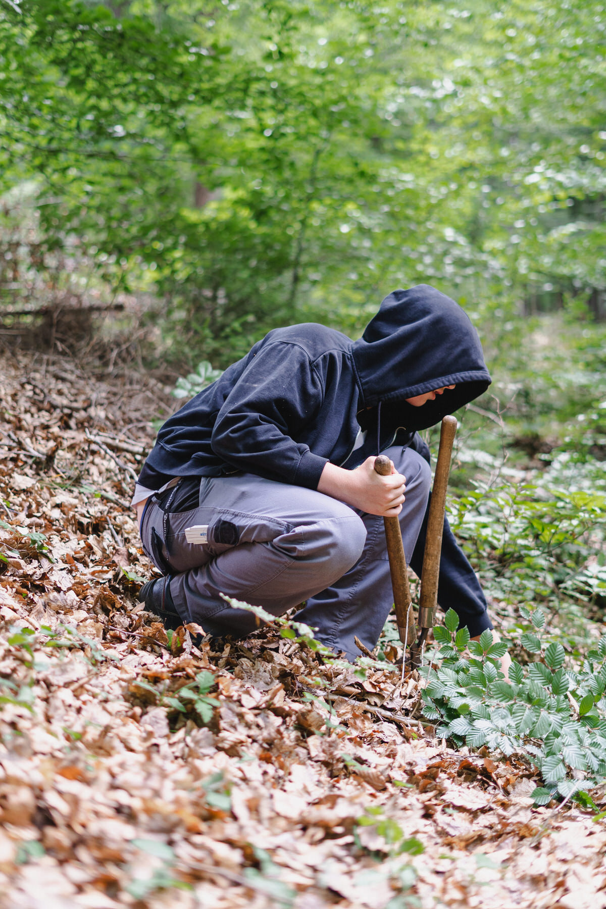 Junge mit Pullover arbeitet im Wald