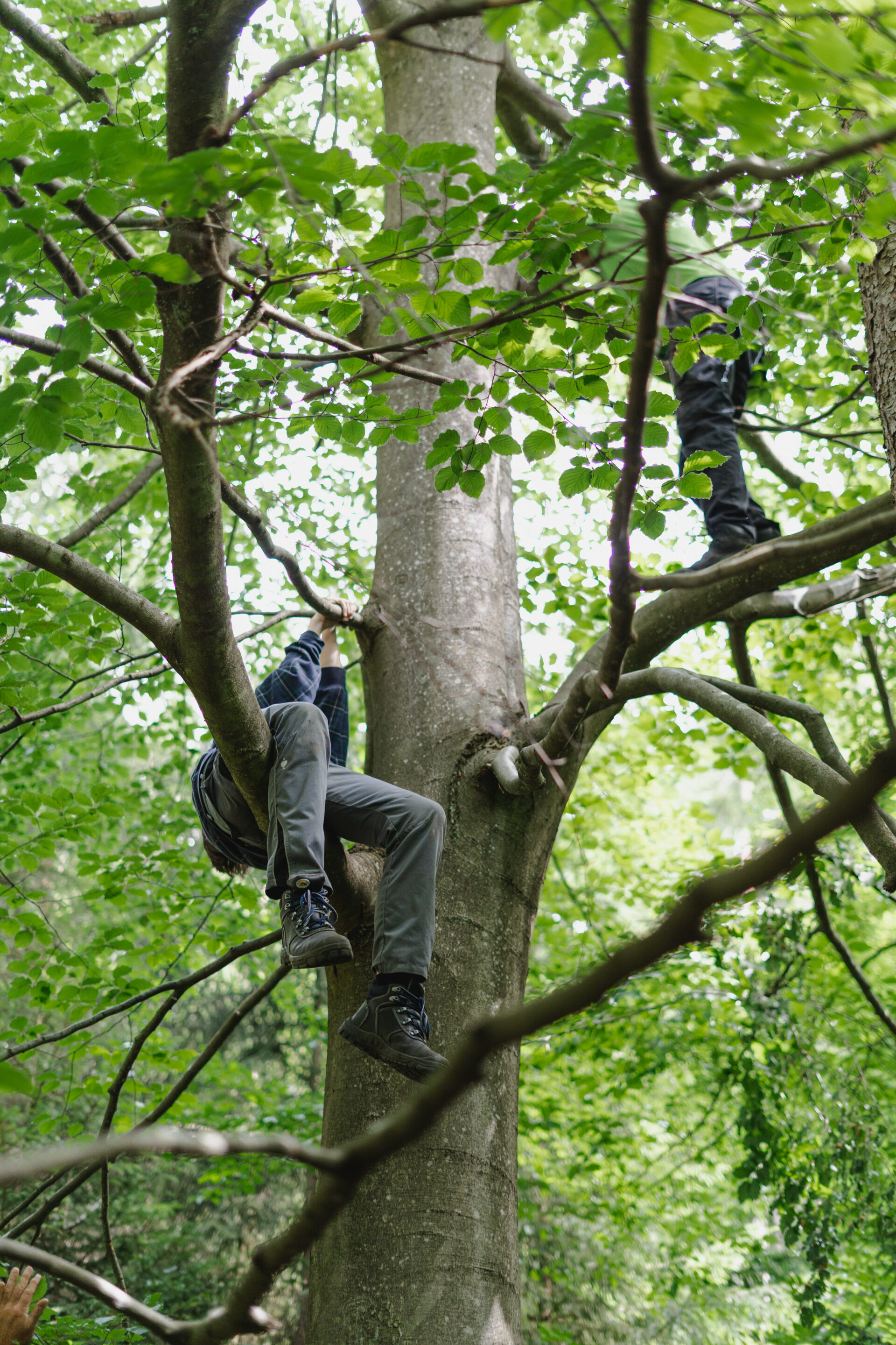 Jungs klettern hoch im Baum